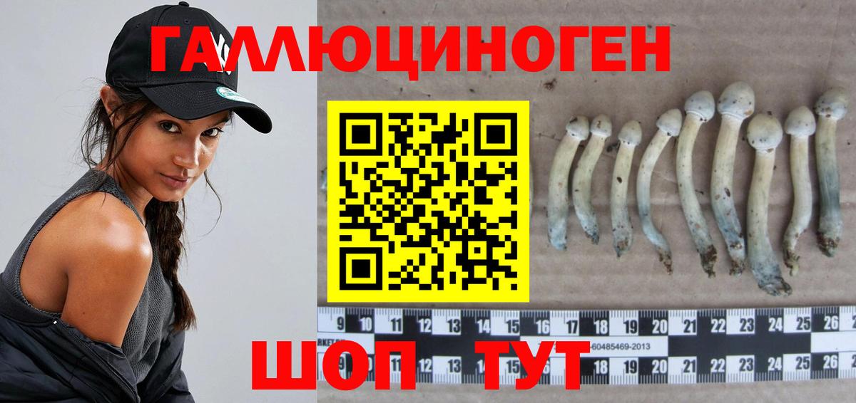 где можно купить наркотик  Галлюциногенные грибы Cubensis  Вход с VPN  Шахты 